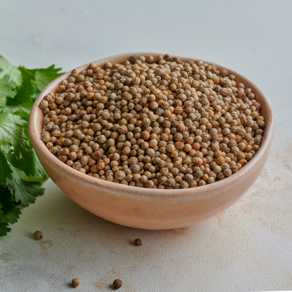 coriander seed