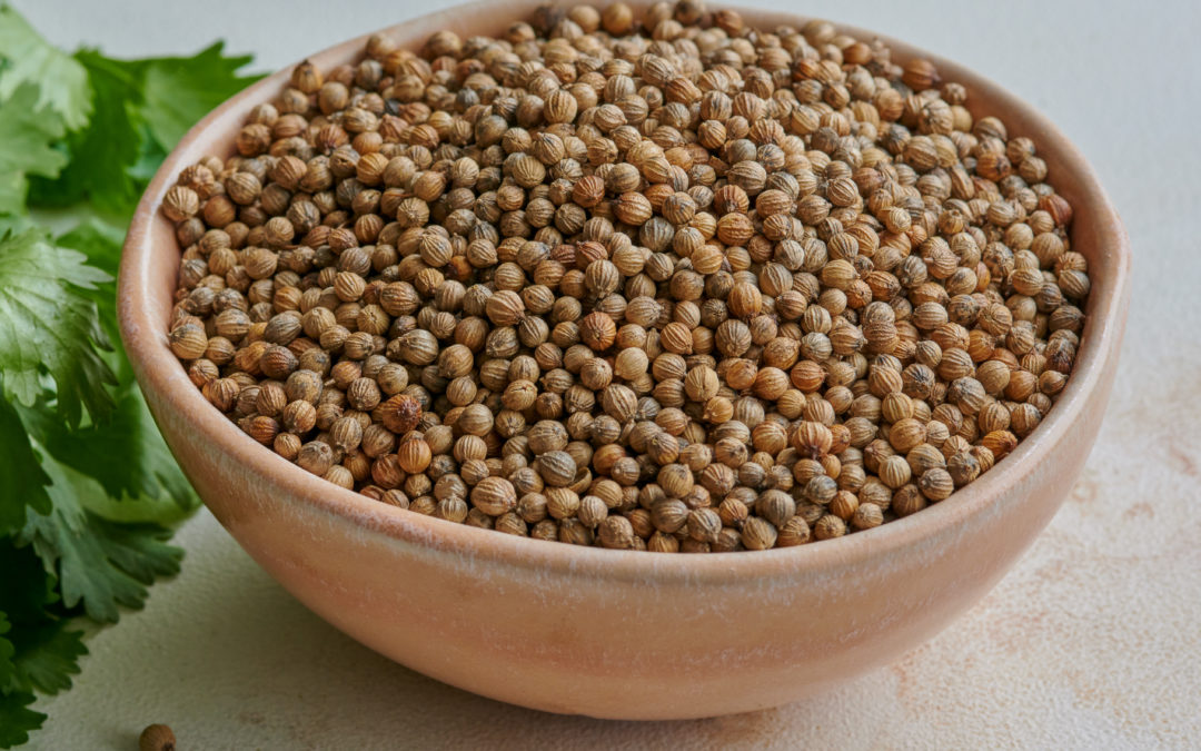 coriander seed