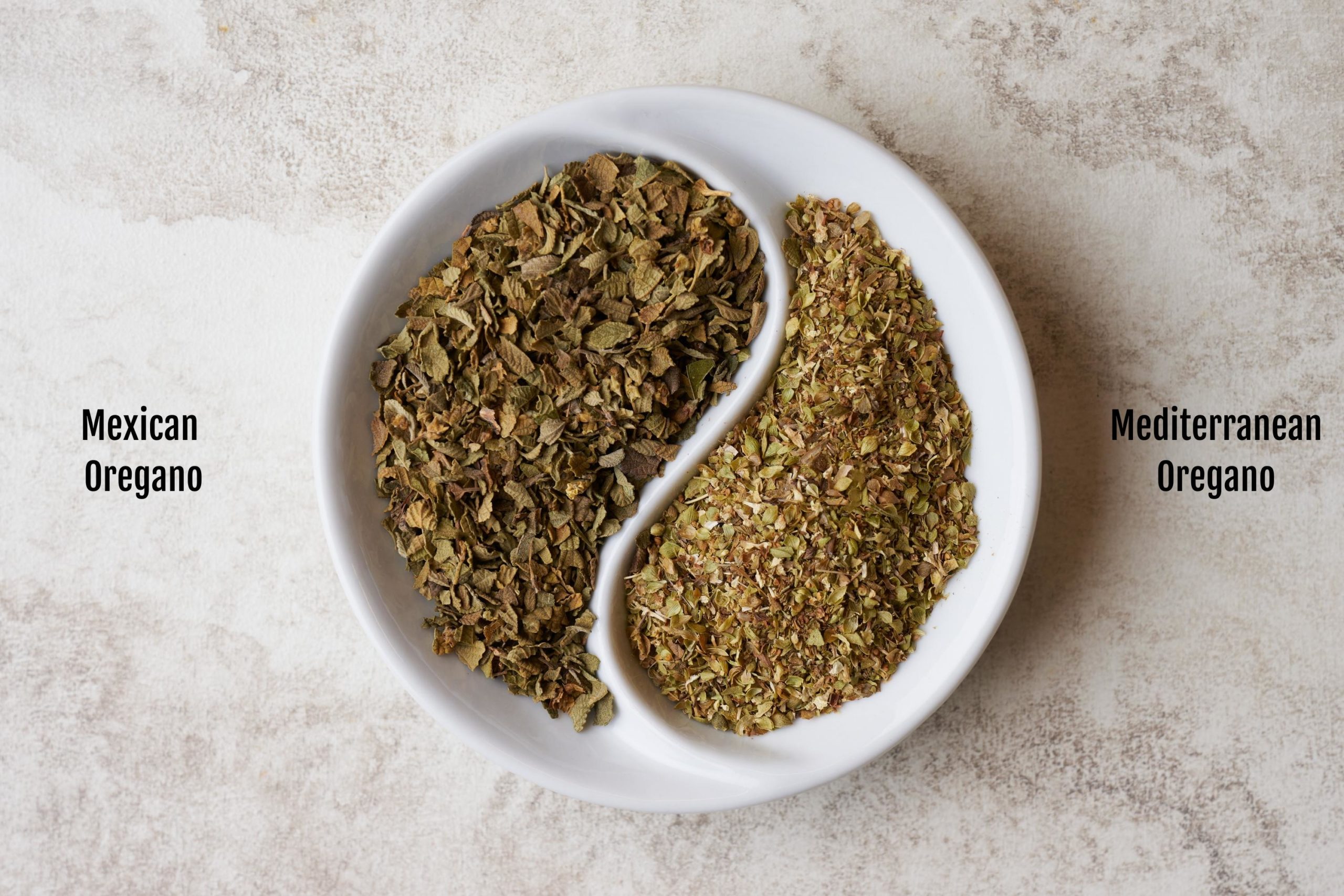 Mexican and Mediterranean oregano