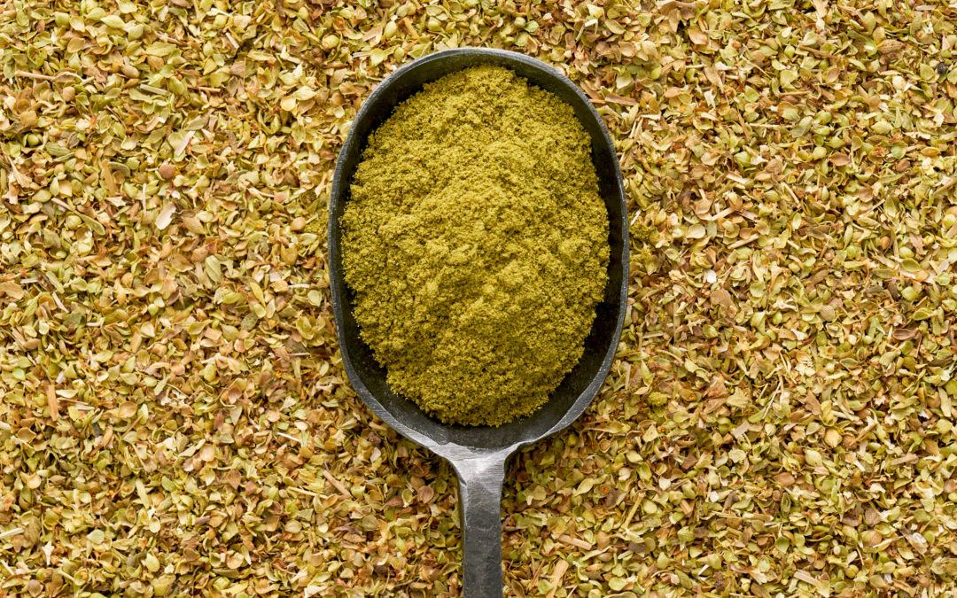 A Guide to Mexican and Mediterranean Oregano